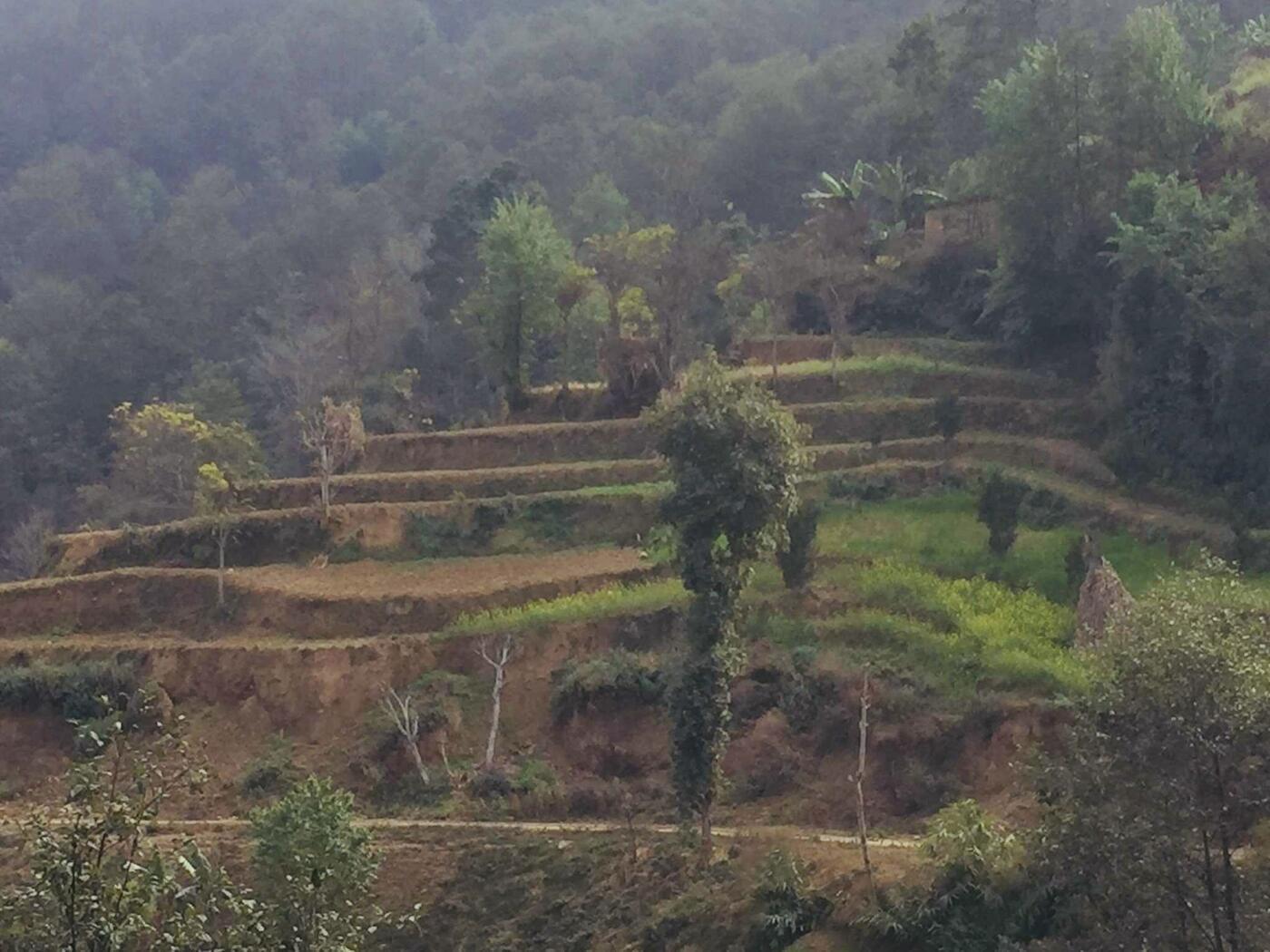 60 Ropani Land